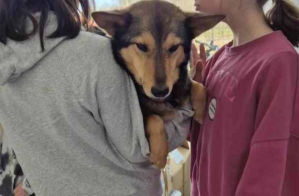 zdjęcia z Polski - Damian