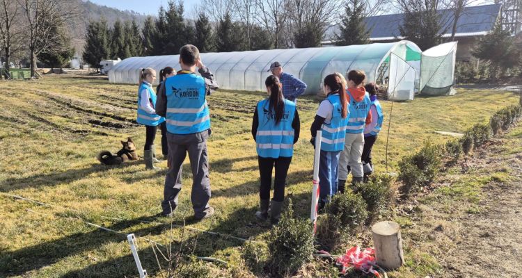 zdjęcia z Polski - Damian