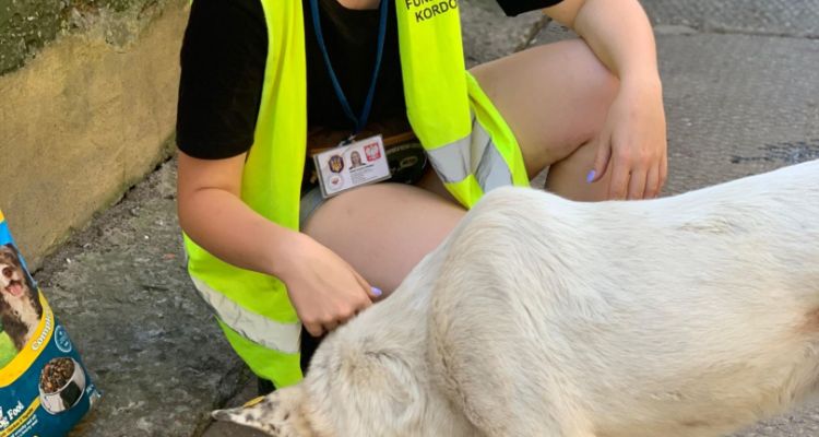 GALERIA ZDJĘĆ DONBAS